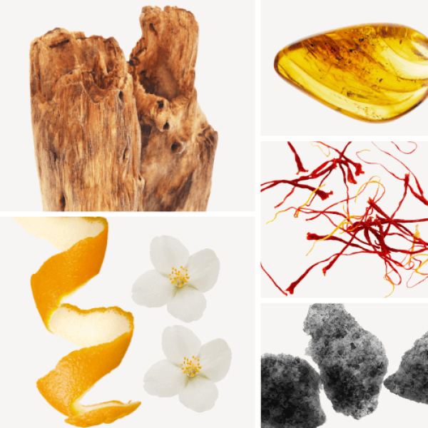 Duftnoten: Zedernholz, Ambra, Jasmin, Moschus, zitrische Noten, Jasmin